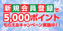 冬の大感謝祭ポイントキャンペーン